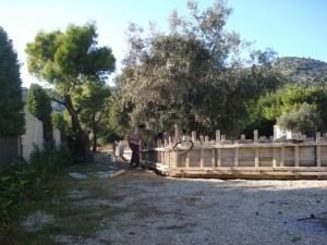 ktima carpe diem